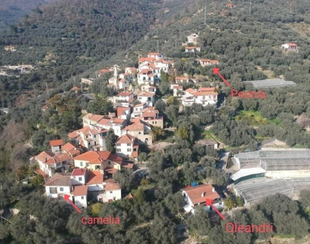 Villa Uliveto à Diano San Pietro Extérieur photo