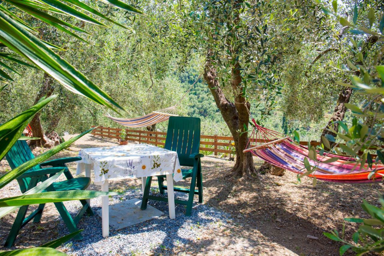 Villa Uliveto à Diano San Pietro Extérieur photo